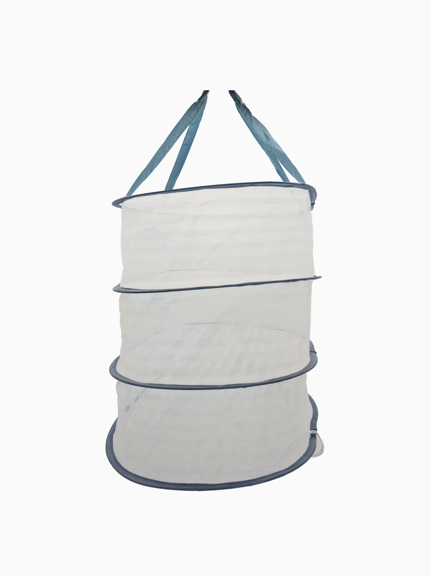 Cannabis Trockennetz