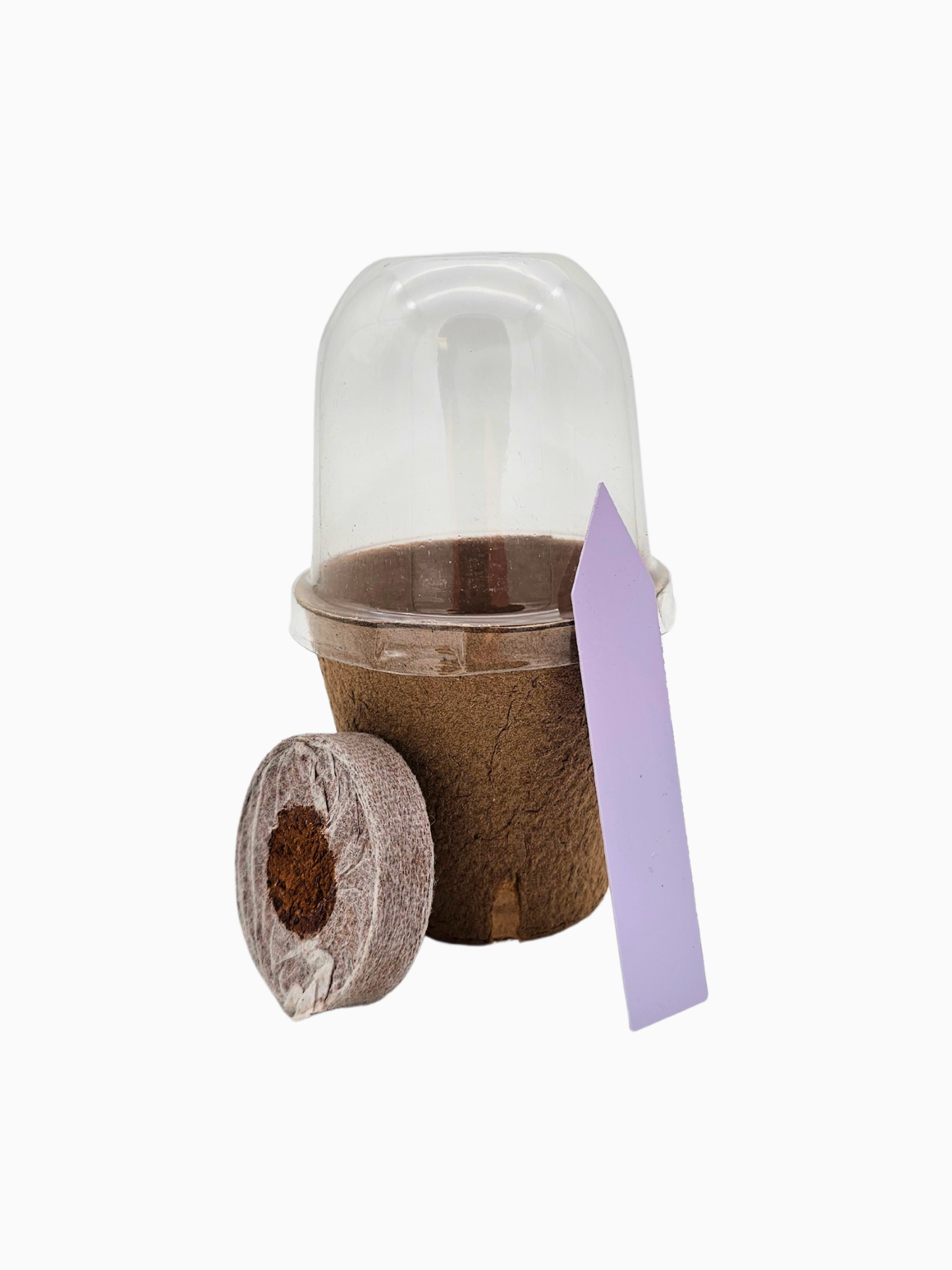 Anzuchttopf + Kokostablett