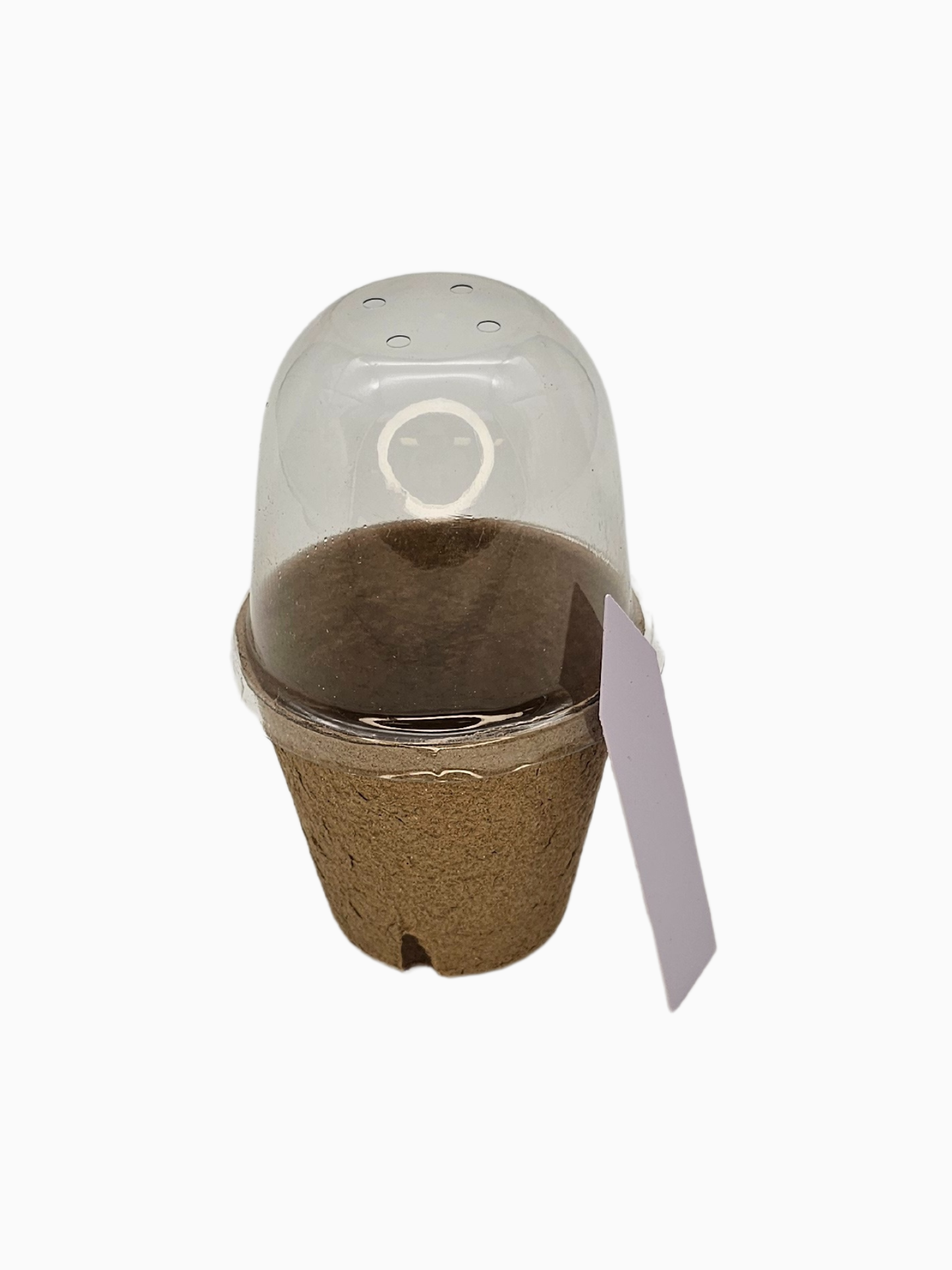 Cannabis Anzuchttopf