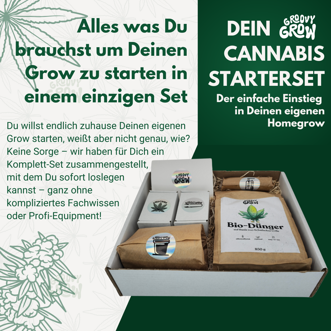 Cannabis Starterset
