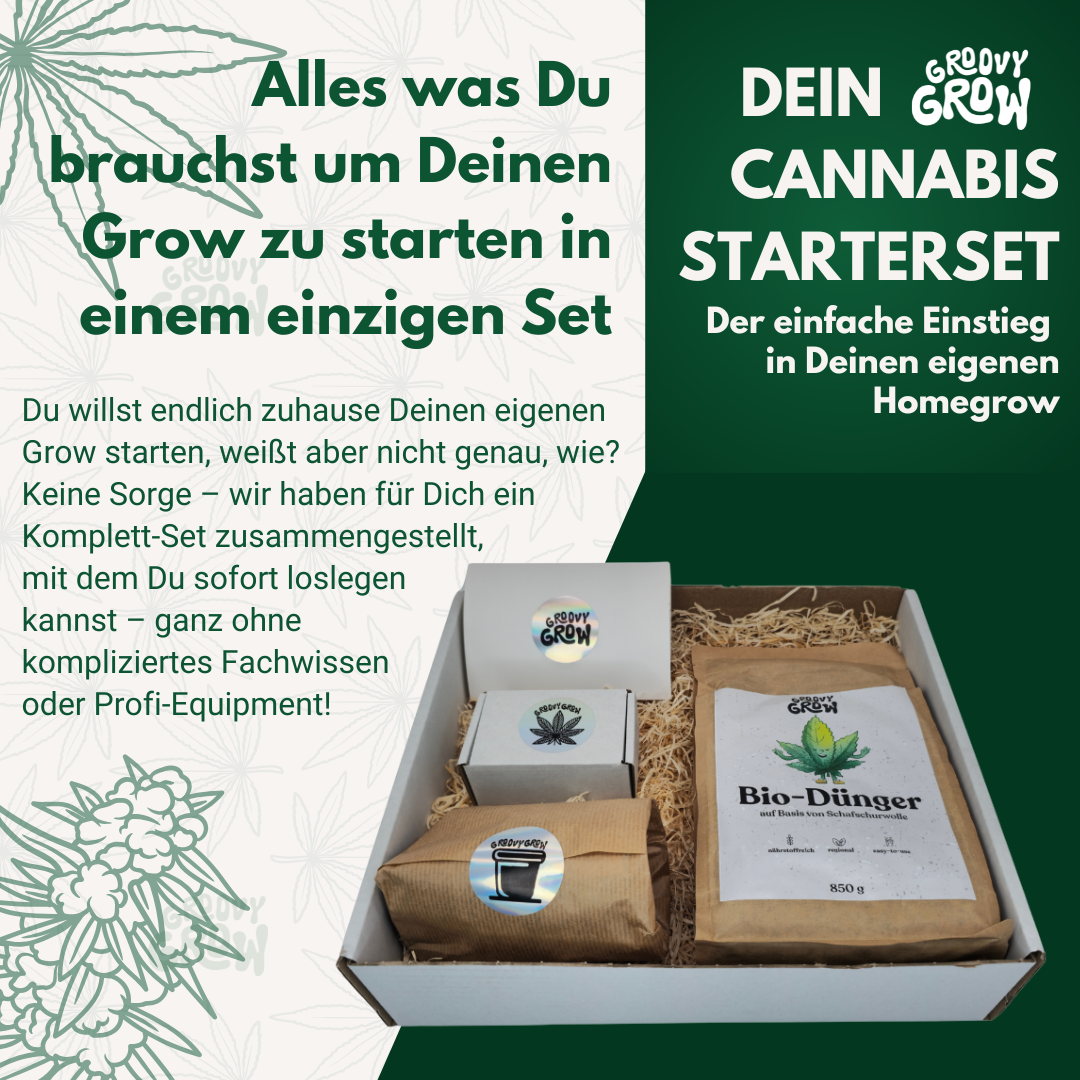 Cannabis Starterset S mit Samen nach Wahl – Dein einfacher Einstieg ins Homegrowing - Groovy Grow