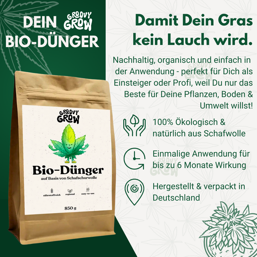 Cannabis Anbauset – Dein einfacher Einstieg ins Homegrowing - Groovy Grow