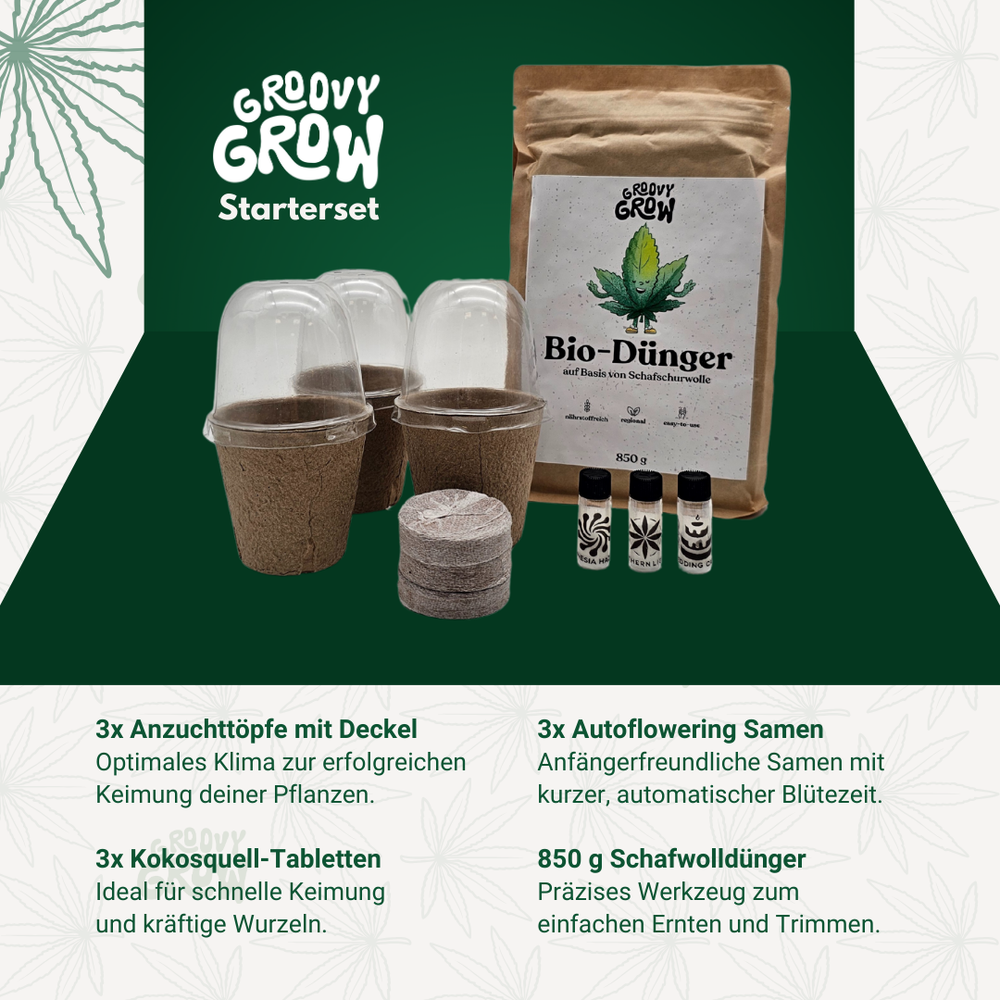 
                  
                    Cannabis Starterset S mit Samen nach Wahl – Dein einfacher Einstieg ins Homegrowing - Groovy Grow
                  
                